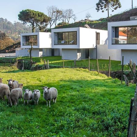 Viana Do Castelo - Amonde Village - Casa L - Disfrute Da Natureza Luaran gambar