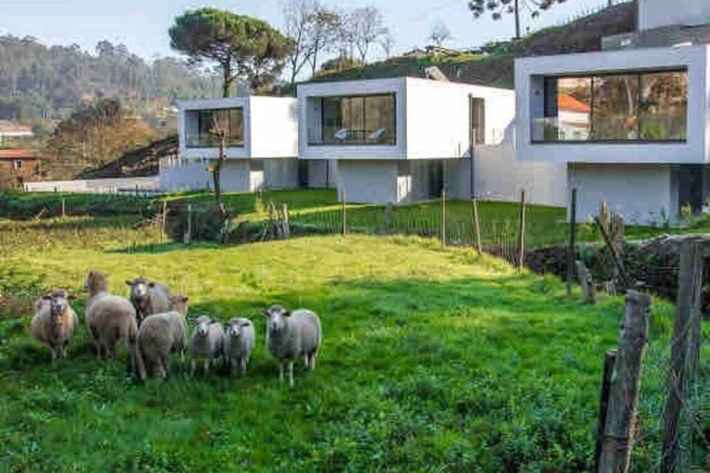 Viana Do Castelo - Amonde Village - Casa L - Disfrute Da Natureza Luaran gambar